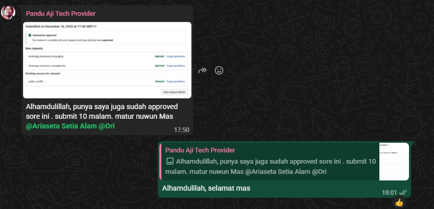 Screenshot approval Meta Tech Provider member 6